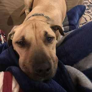 Meet your Posher, Veronica